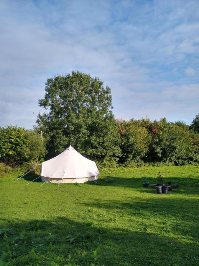 Hotel Blackberry Patch Pontyates Zewnętrze zdjęcie
